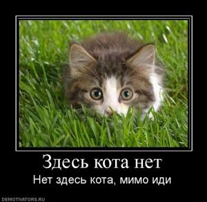 post-5591-0-67350700-1361536436_thumb.jpg