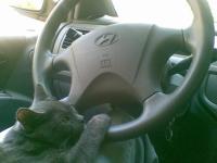 post-1693-1243370155_thumb.jpg