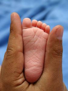 post-1503-1274622743,9211_thumb.jpeg