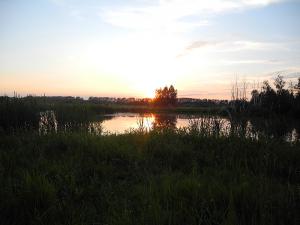 DSCN2219.jpg