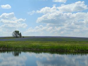 DSCN2133.jpg