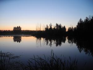 DSCN2434.jpg