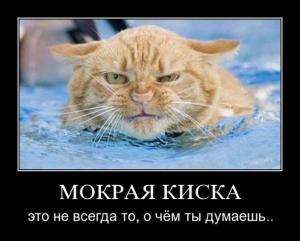 post-10573-0-89515300-1340468705_thumb.jpg