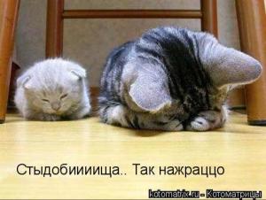 post-10573-0-90668300-1340468723_thumb.jpg