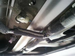 20120608_130318.jpg