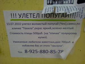 PIC-0132.jpg