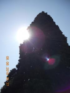post-4078-038336000 1281996529_thumb.jpg