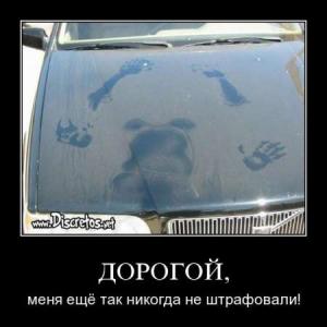 post-10573-0-03806400-1386277470_thumb.jpg