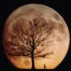 moonmen