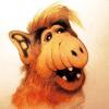 Gordon