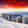 SIBIR