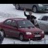Dmitrich